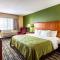 Quality Inn - Los Lunas