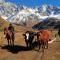 Ushguli Hotel Riho