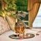 Elk Forge Bed and Breakfast - Elkton