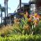 Hotel Renmark