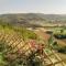Large secluded villa, fabulous countryside views, beautiful Piedmonte landscape - Castelnuovo Belbo