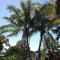 Island Goodes - Luxury Adult Only Accommodation near Hilo