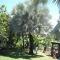 Island Goode's - Luxury Adult Only Accommodation near Hilo - Papaikou