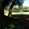 Sabie River Camp