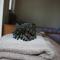 Quiet Villa Near Berat - Scenic Balcony & Garden
