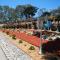 Americas Best Value Presidents Inn on Munras