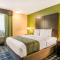 Quality Inn & Suites - Albany