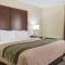 Comfort Inn - Pocono Mountains - White Haven