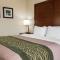 Comfort Inn - Pocono Mountains - وايت هافن