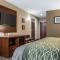 Comfort Inn & Suites Pittsburgh South