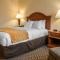 Comfort Inn & Suites - Pittsburgh North