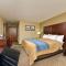 Comfort Inn and Suites Manheim