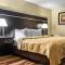 Quality Inn Goose Creek - Charleston - 查尔斯顿