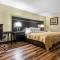 Quality Inn Goose Creek - Charleston - 查尔斯顿