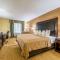 Quality Inn Clemson near University - 安德森