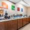 Comfort Inn & Suites Airport-American Way