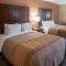 Comfort Inn North Conroe - 孔洛