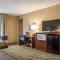 Comfort Inn Edinburg South