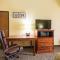 Comfort Inn & Suites - Cedar City