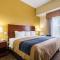 Comfort Inn & Suites Cedar City South