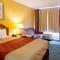 Econo Lodge Petersburg - Fort Lee