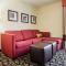 Comfort Suites Innsbrook - Short Pump - Broad Meadows