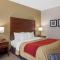 Comfort Inn Chester - Richmond South - 切斯特