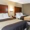 Comfort Inn Pentagon City