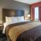 Comfort Inn Ballston - Arlington