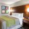 Quality Inn & Suites Ashland near Kings Dominion - Ашленд