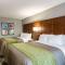 Quality Inn & Suites Ashland near Kings Dominion