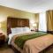 Comfort Inn Newport News-Williamsburg East