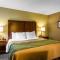 Comfort Inn Newport News-Williamsburg East