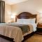 Comfort Inn & Suites South Burlington - Burlington