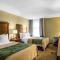 Comfort Inn Newport News-Williamsburg East