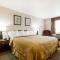 Quality Inn & Suites Stoughton - Madison South - Stoughton