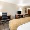 Comfort Suites at Par 4 Resort - Waupaca
