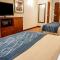 Comfort Inn & Suites Franklin East