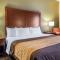 Comfort Inn - Винчестер