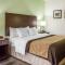 Comfort Inn Lexington South