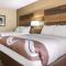 Quality Inn and Conference Center - 里士满