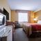 Comfort Inn & Suites Langley