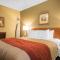 Comfort Inn & Suites Langley - Langley