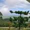 The Jerai Hill Resort