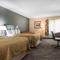 Quality Inn & Suites Danbury near University