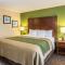 Comfort Inn & Suites Panama City Mall