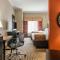 Comfort Suites Panama City near Tyndall AFB - Panama City