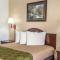 Econo Lodge Savannah Midtown