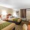 Econo Lodge Savannah Midtown