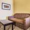 Comfort Inn & Suites at Stone Mountain - Stone Mountain